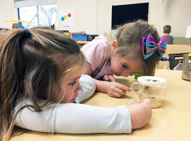CATERPILLER CLASS